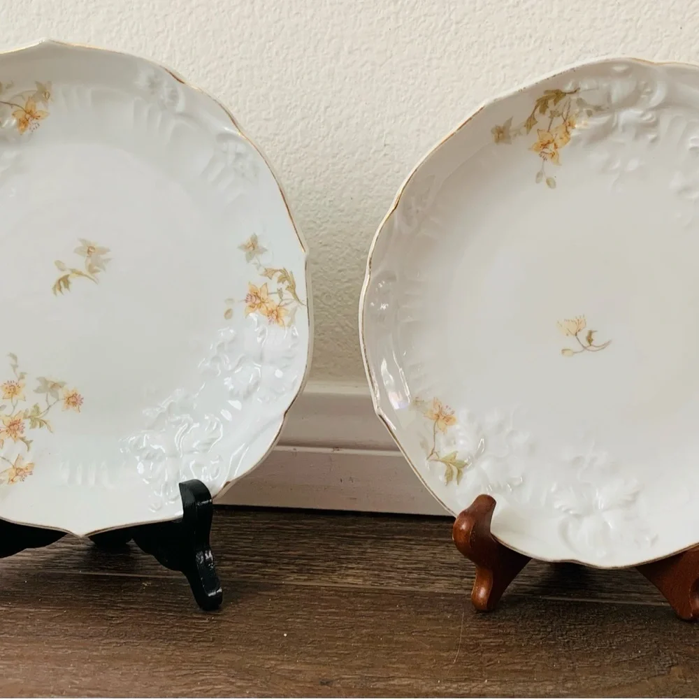 Vintage Carlsbad Plates From Austria
